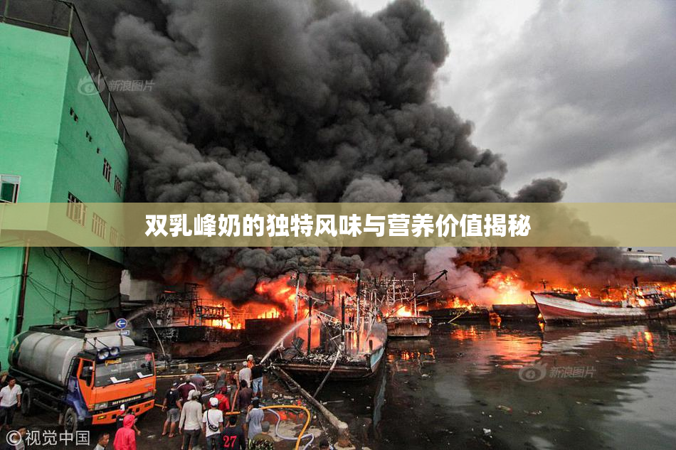 双乳峰奶的独特风味与营养价值揭秘