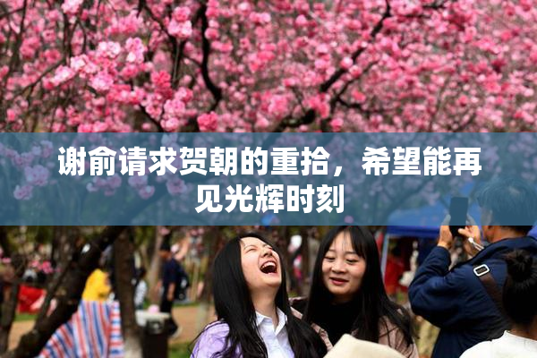 谢俞请求贺朝的重拾，希望能再见光辉时刻