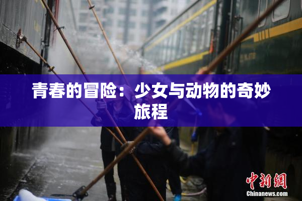 青春的冒险：少女与动物的奇妙旅程