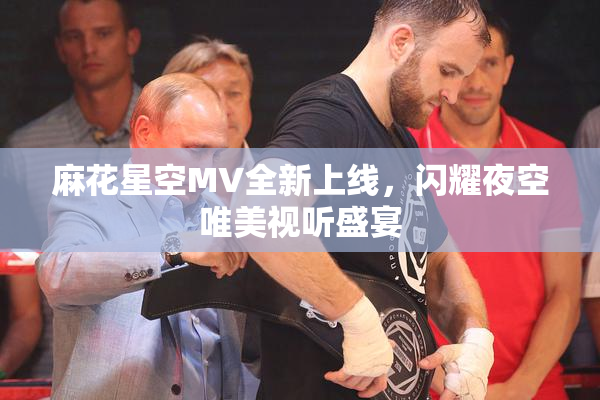 麻花星空MV全新上线，闪耀夜空唯美视听盛宴