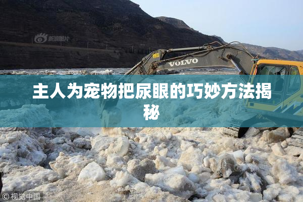 主人为宠物把尿眼的巧妙方法揭秘