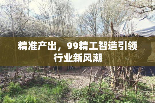 精准产出，99精工智造引领行业新风潮