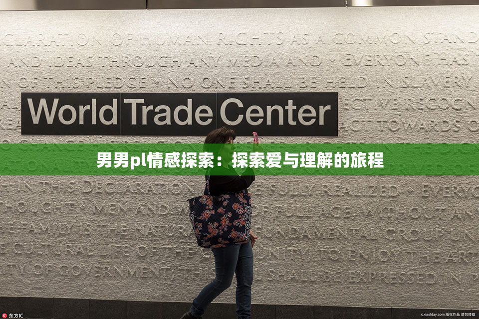 男男pl情感探索：探索爱与理解的旅程