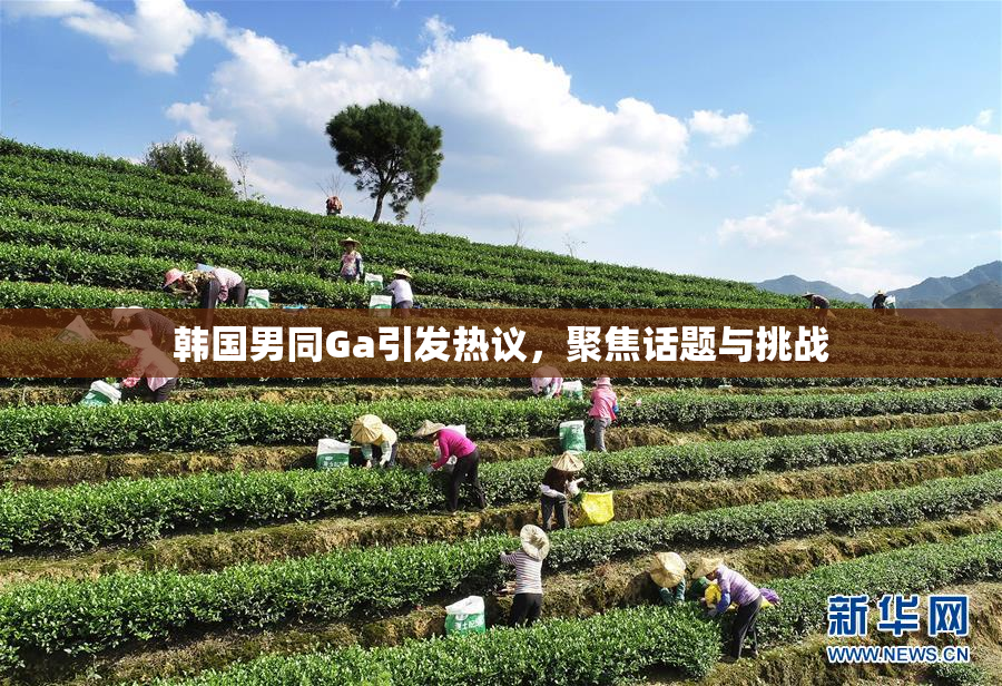韩国男同Ga引发热议，聚焦话题与挑战