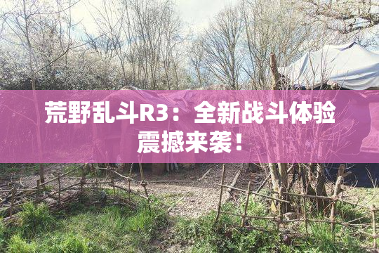 荒野乱斗R3：全新战斗体验震撼来袭！