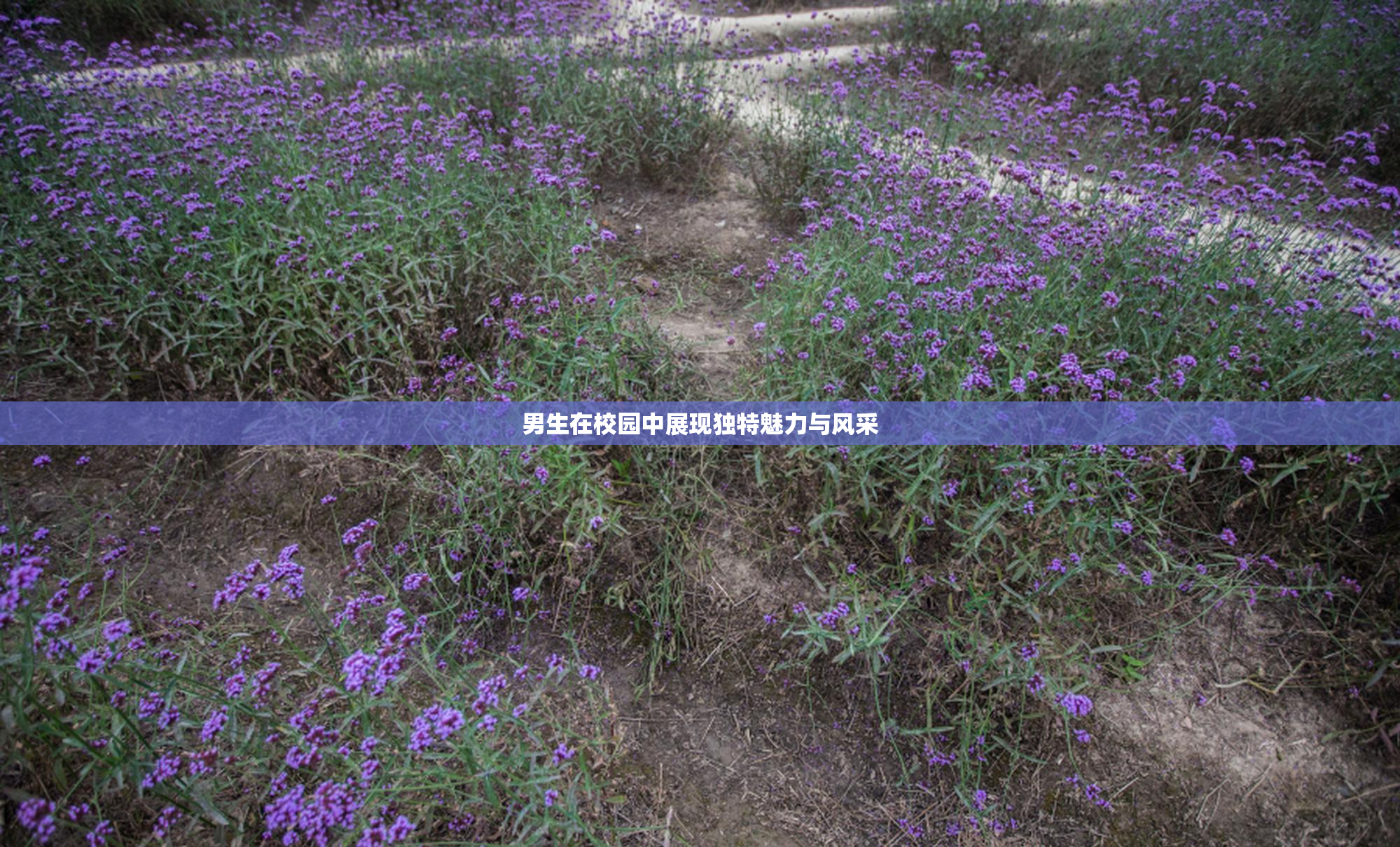 男生在校园中展现独特魅力与风采