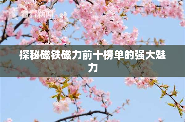 探秘磁铁磁力前十榜单的强大魅力
