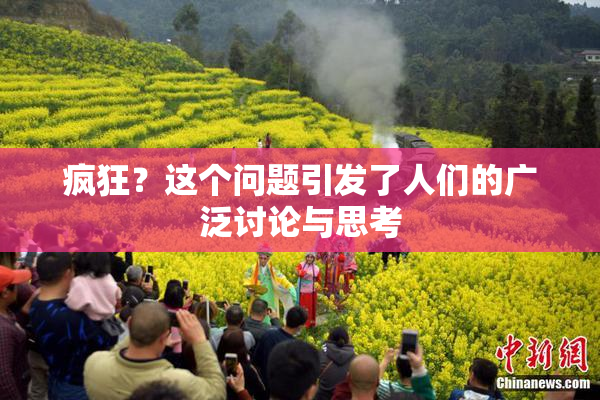 疯狂？这个问题引发了人们的广泛讨论与思考