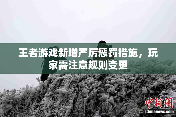 王者游戏新增严厉惩罚措施，玩家需注意规则变更
