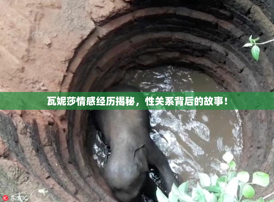瓦妮莎情感经历揭秘，性关系背后的故事！