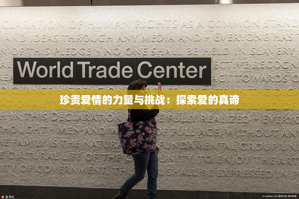 珍贵爱情的力量与挑战：探索爱的真谛