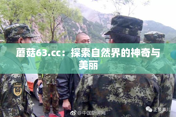 蘑菇63.㏄：探索自然界的神奇与美丽