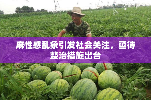 麻性感乱象引发社会关注，亟待整治措施出台
