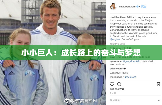 小小巨人：成长路上的奋斗与梦想