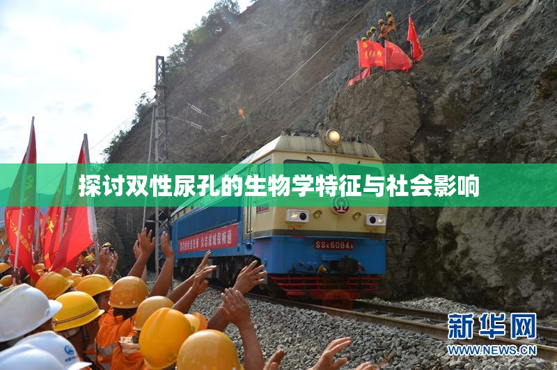 探讨双性尿孔的生物学特征与社会影响