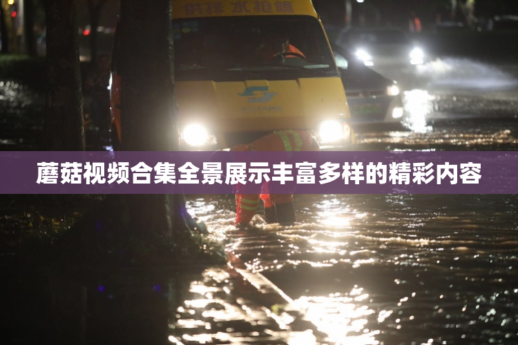 蘑菇视频合集全景展示丰富多样的精彩内容