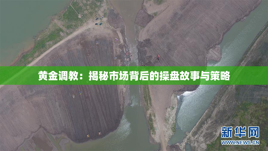 黄金调教：揭秘市场背后的操盘故事与策略