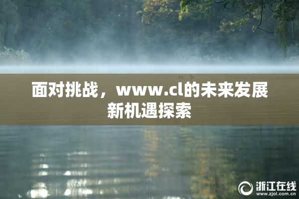 面对挑战，www.cl的未来发展新机遇探索