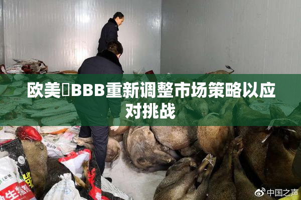 欧美槡BBB重新调整市场策略以应对挑战