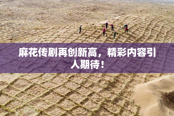 麻花传剧再创新高，精彩内容引人期待！