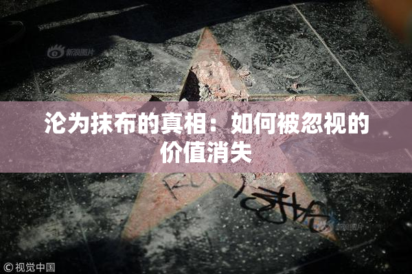 沦为抹布的真相：如何被忽视的价值消失