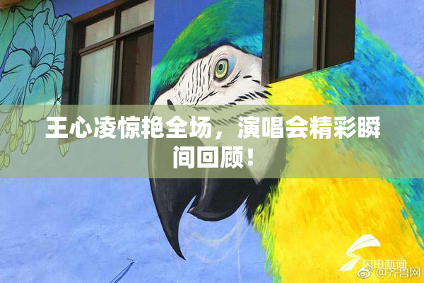 王心凌惊艳全场，演唱会精彩瞬间回顾！