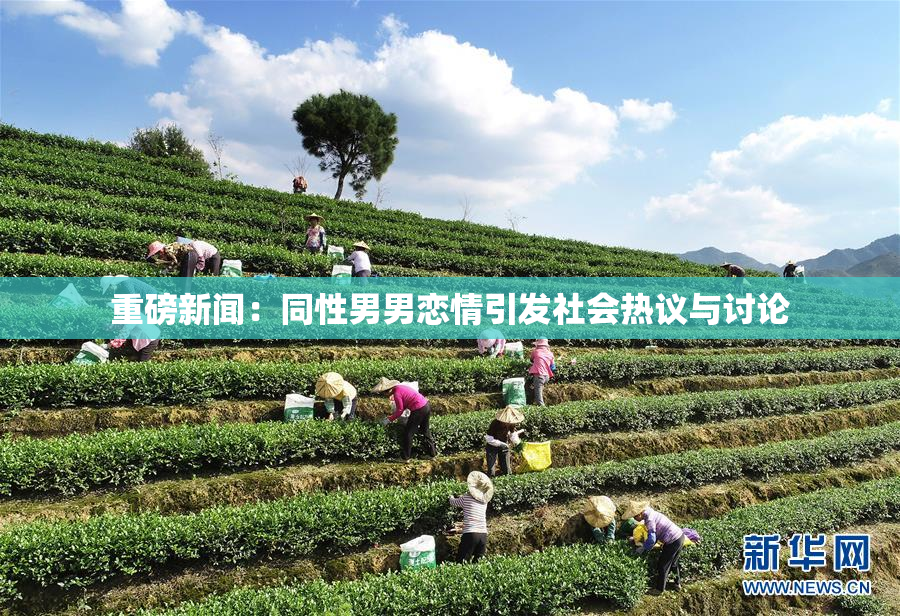 重磅新闻：同性男男恋情引发社会热议与讨论