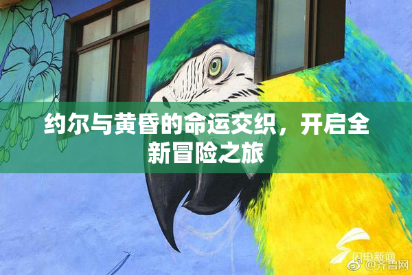 约尔与黄昏的命运交织，开启全新冒险之旅