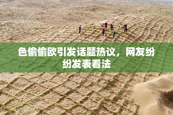 色偷偷欧引发话题热议，网友纷纷发表看法