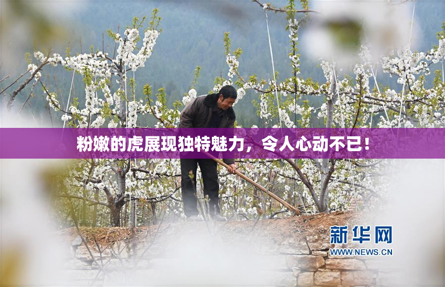 粉嫩的虎展现独特魅力，令人心动不已！