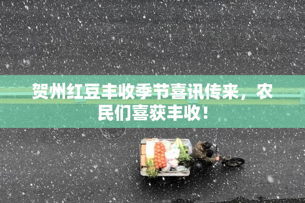 贺州红豆丰收季节喜讯传来，农民们喜获丰收！