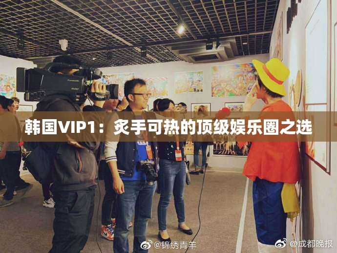 韩国VIP1：炙手可热的顶级娱乐圈之选