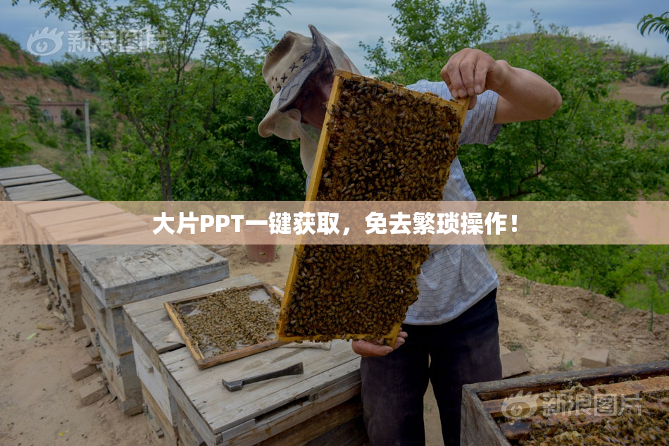 大片PPT一键获取，免去繁琐操作！