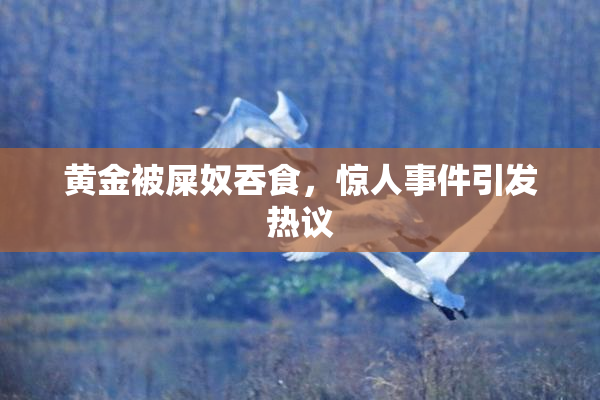 黄金被屎奴吞食，惊人事件引发热议