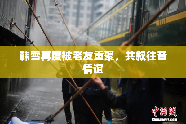 韩雪再度被老友重聚，共叙往昔情谊