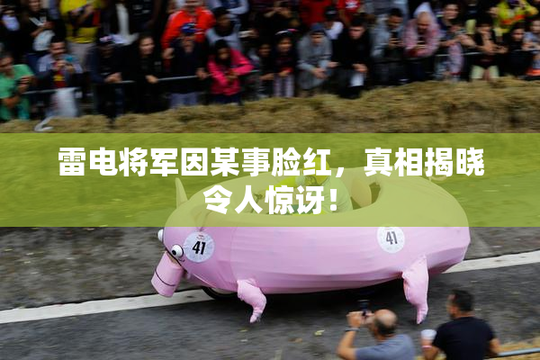 雷电将军因某事脸红，真相揭晓令人惊讶！