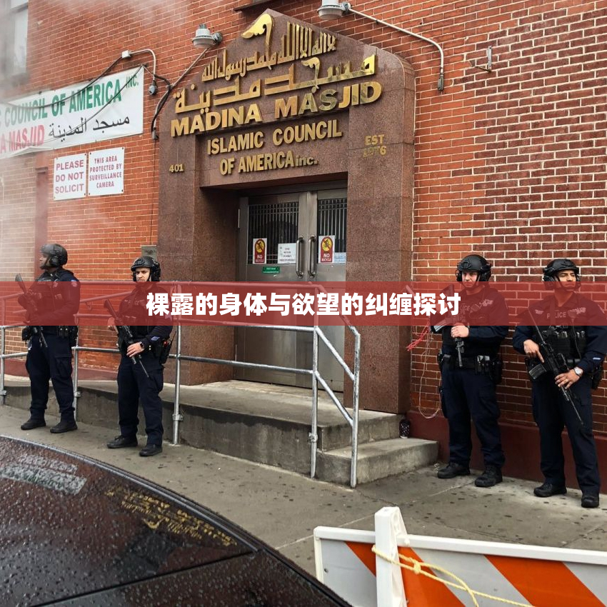 裸露的身体与欲望的纠缠探讨
