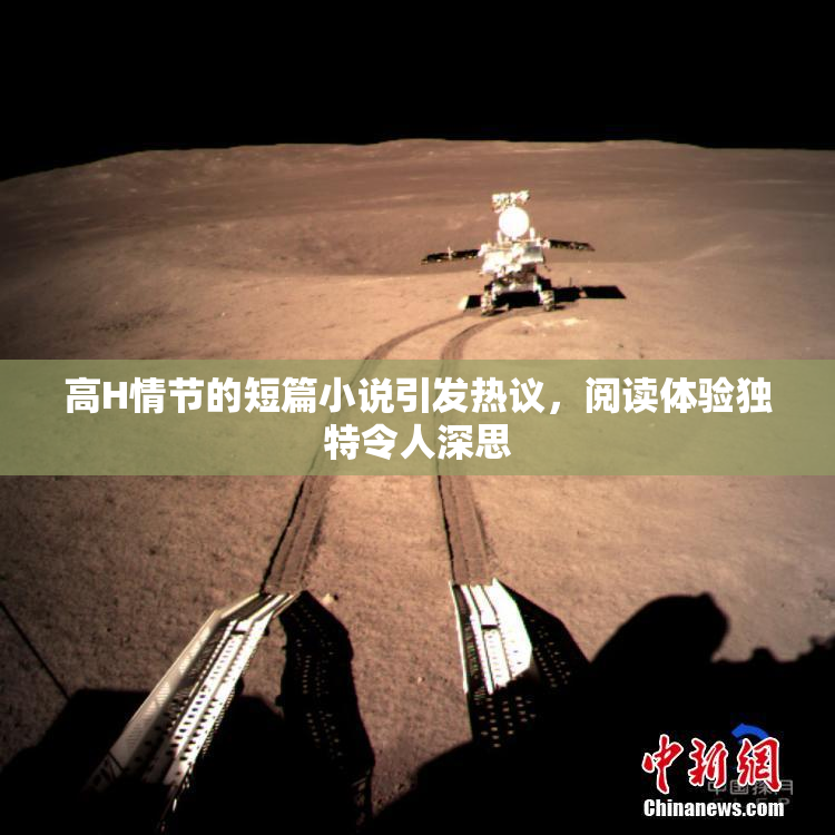 高H情节的短篇小说引发热议，阅读体验独特令人深思