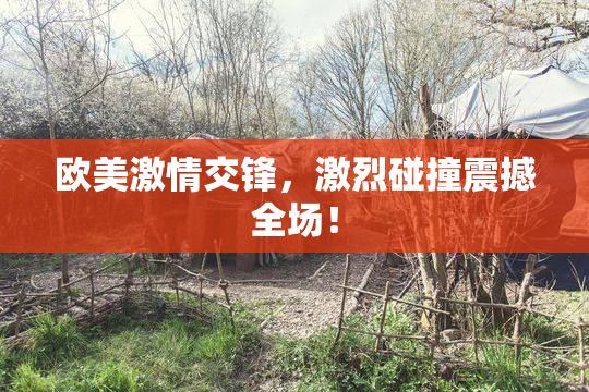 欧美激情交锋，激烈碰撞震撼全场！