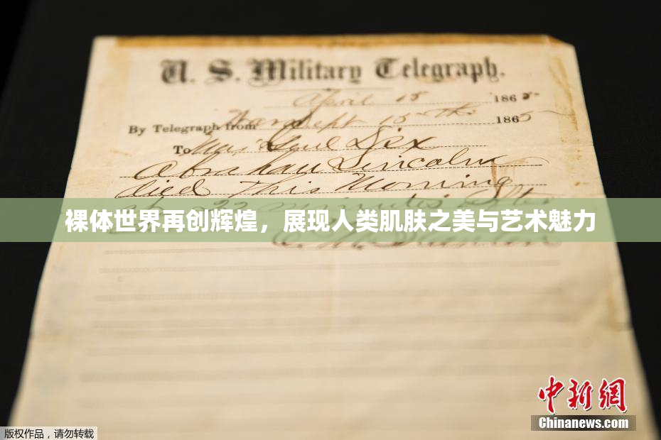 裸体世界再创辉煌，展现人类肌肤之美与艺术魅力