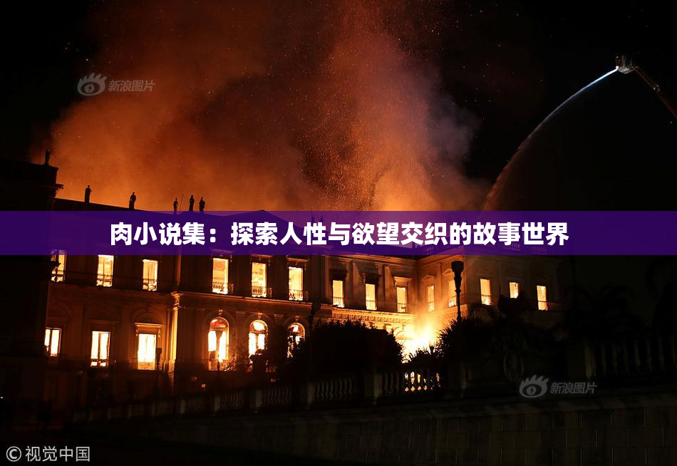肉小说集：探索人性与欲望交织的故事世界