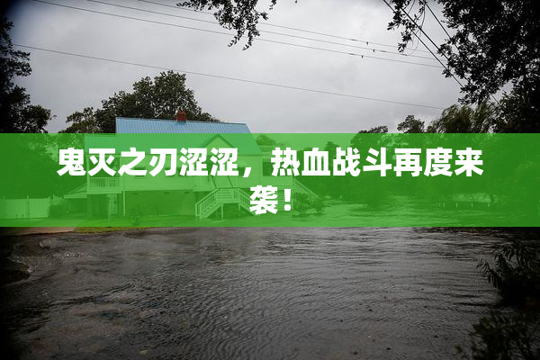 鬼灭之刃涩涩，热血战斗再度来袭！