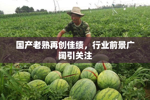 国产老熟再创佳绩，行业前景广阔引关注