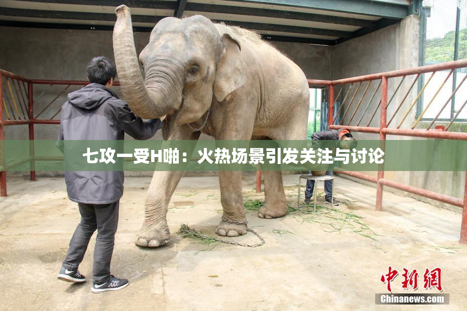 七攻一受H啪：火热场景引发关注与讨论