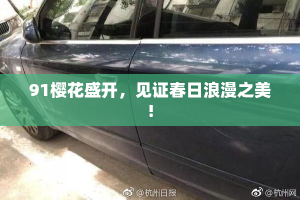 91樱花盛开，见证春日浪漫之美!
