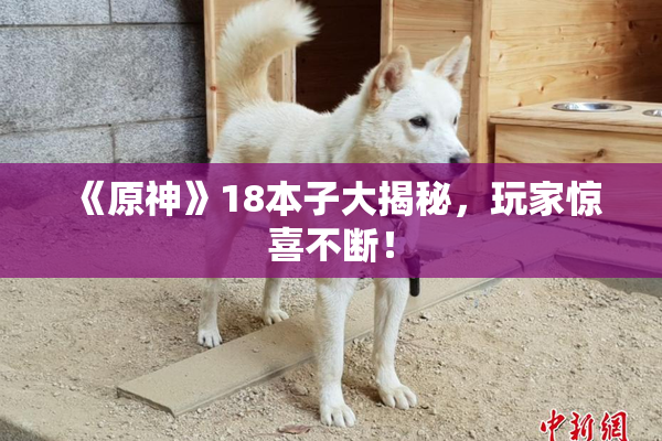 《原神》18本子大揭秘，玩家惊喜不断！