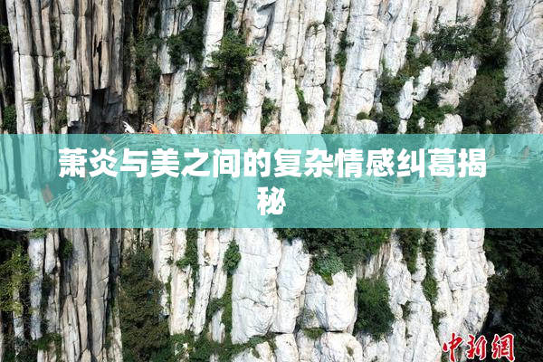 萧炎与美之间的复杂情感纠葛揭秘