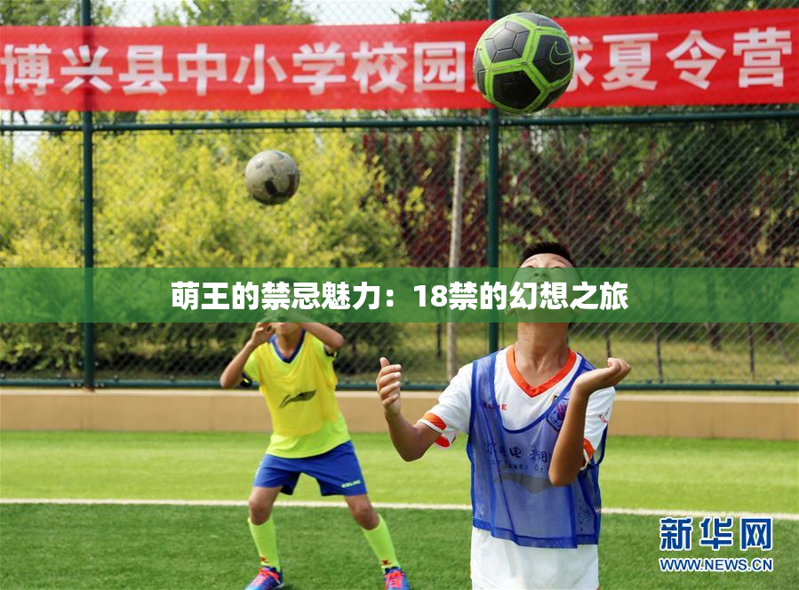 萌王的禁忌魅力：18禁的幻想之旅