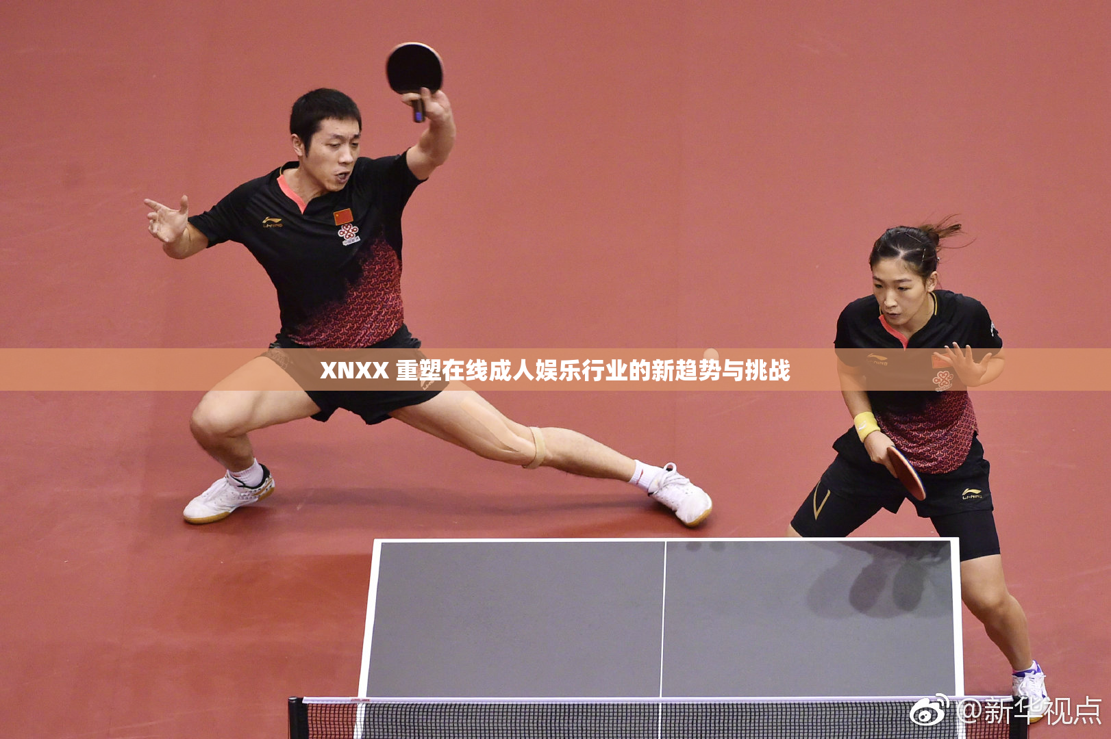 XNXX 重塑在线成人娱乐行业的新趋势与挑战