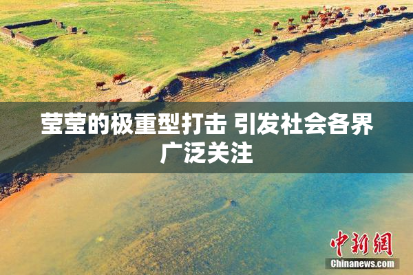 莹莹的极重型打击 引发社会各界广泛关注